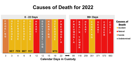 Causes of Custodial Death 2022